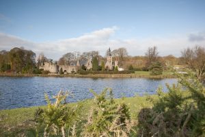 newstead abbey image 13 sm.jpg